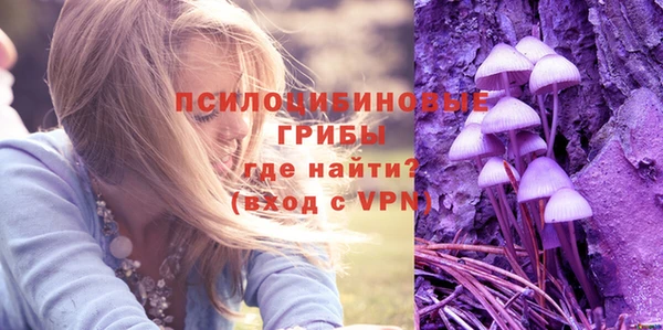 соль ск Вяземский