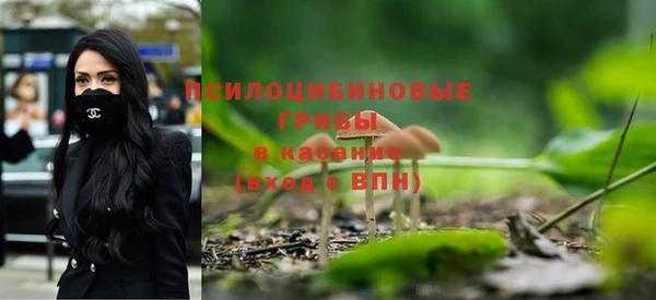 PSILOCYBIN Вязники