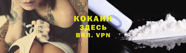 PSILOCYBIN Вязники
