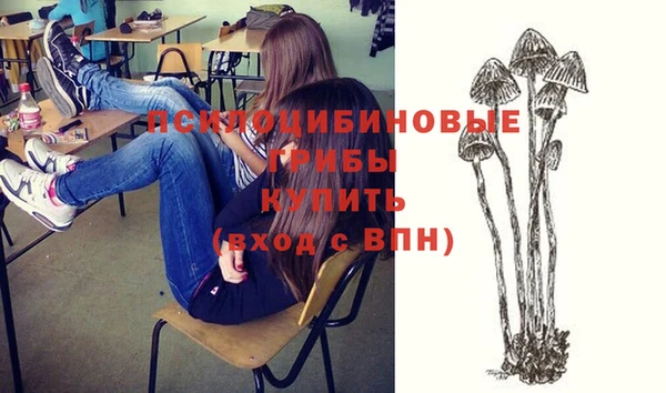 PSILOCYBIN Вязники