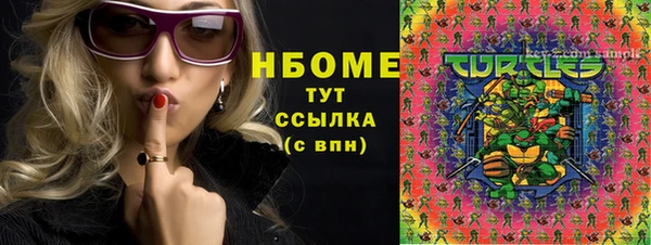 соль ск Вяземский