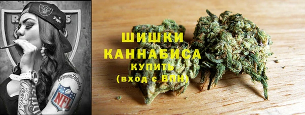 PSILOCYBIN Вязники