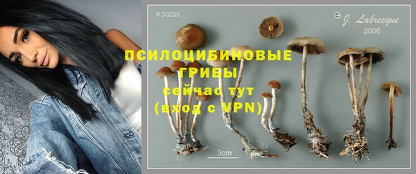 mdpv Вязьма