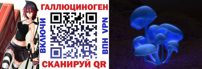 Псилоцибиновые грибы Psilocybe  Купить где  Данков 